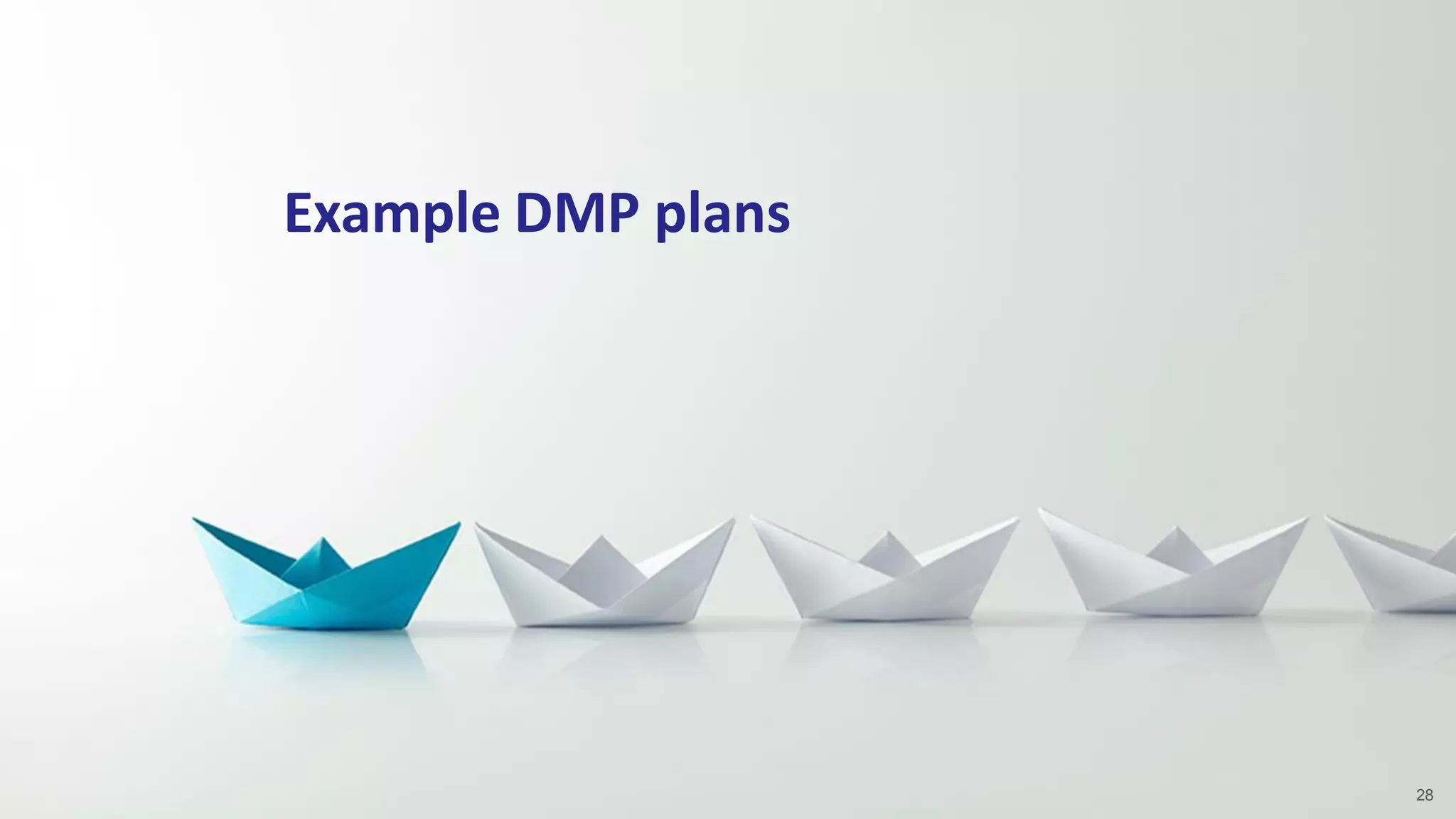Example DMP plans
28
 