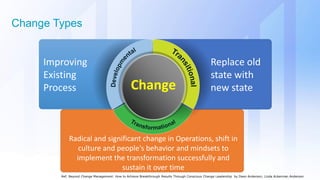 Change Program Transformation Leading Transformation Programs in Large / Global Organizations | PDF