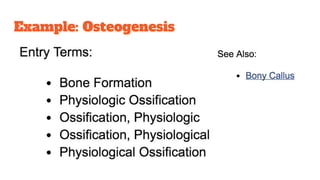 Example: Osteogenesis
 