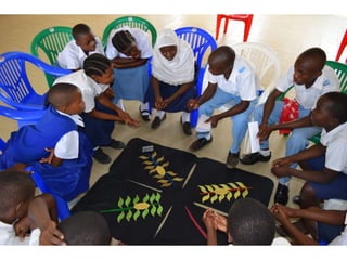 Participatory data gathering with Ketso | PPTX