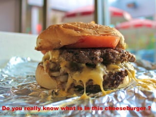 Do you really know what is in this cheeseburger ?
Photo Credit: <a href="http://www.flickr.com/photos/62918274@N02/6232577382/">thehfo</a> via <a
href="http://compfight.com">Compfight</a> <a href="http://www.flickr.com/help/general/#147">cc</a>
 