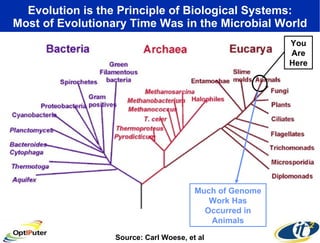Evolution is the Principle of Biological Systems: Most of Evolutionary Time Was in the Microbial World Source: Carl Woese, et al You Are Here Much of Genome Work Has Occurred in Animals 