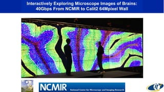Interactively Exploring Microscope Images of Brains:
40Gbps From NCMIR to Calit2 64Mpixel Wall
 