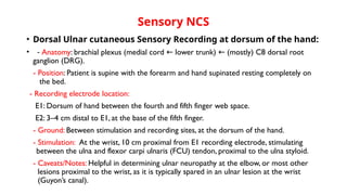 Nerve conduction studies second presentation | PPTX