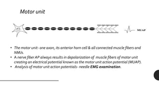 NERVE CONDUCTION STUDIES, ELECTROMYOGRAPHY | PPTX