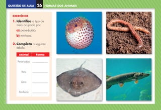 QUESTÃO DE AULA
©
AREAL
EDITORES
–
NCSI
5
–
Ciências
Naturais
–
5.º
ano
–
cód.
89452
EXERCÍCIOS
1. Identifica o tipo de
meio ocupado por:
a) peixe-balão;
b) minhoca.
2. 
Completa a seguinte
tabela.
Animal Forma
Peixe-balão
Raia
Lúcio
Minhoca
FORMAS DOS ANIMAIS
26
NCSI5QA_20160029_P001_065_3P.indd 27 7/4/16 4:53 PM
 