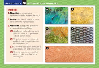 QUESTÃO DE AULA
©
AREAL
EDITORES
–
NCSI
5
–
Ciências
Naturais
–
5.º
ano
–
cód.
89452
EXERCÍCIOS
1. Identifica os revestimentos
representados pelas imagens de A a E.
2. 
Refere uma função comum a todos
os revestimentos representados.
3. 
Classifica as seguintes afirmações
como verdadeiras ou falsas.
(A) 
A pele nua pode exibir escamas,
pelos ou penas e é, geralmente,
coberta por um muco.
(B) 
Os peixes apresentam escamas
epidérmicas e os répteis possuem
escamas dérmicas.
(C) 
As escamas dos répteis diminuem a
desidratação em ambiente terrestre.
(D) 
O ouriço-cacheiro tem espinhos
entre os pelos, com função de
camuflagem.
A
C
B
D
E
REVESTIMENTOS DOS VERTEBRADOS
28
NCSI5QA_20160029_P001_065_3P.indd 29 7/4/16 4:53 PM
 