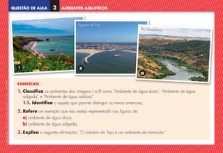 QUESTÃO DE AULA
©
AREAL
EDITORES
–
NCSI
5
–
Ciências
Naturais
–
5.º
ano
–
cód.
89452
AMBIENTES AQUÁTICOS
2
EXERCÍCIOS
1. Classifica os ambientes das imagens I a III como “Ambiente de água doce”, “Ambiente de água
salgada” e “Ambiente de água salobra”.
1.1. Identifica o aspeto que permite distinguir os meios anteriores.
2. Refere um exemplo que não esteja representado nas figuras de:
a) ambiente de água doce;
b) ambiente de água salgada.
3. Explica a seguinte afirmação: “O estuário do Tejo é um ambiente de transição.”
Vila Nova de Milfontes
Figueira da Foz
Rio Guadiana
I II
III
NCSI5QA_20160029_P001_065_3P.indd 3 7/4/16 4:52 PM
 