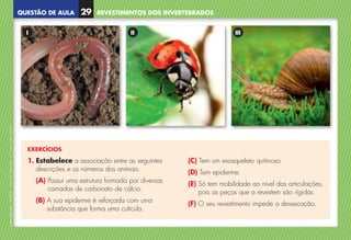 QUESTÃO DE AULA
©
AREAL
EDITORES
–
NCSI
5
–
Ciências
Naturais
–
5.º
ano
–
cód.
89452
EXERCÍCIOS
1. 
Estabelece a associação entre as seguintes
descrições e os números dos animais.
(A) 
Possui uma estrutura formada por diversas
camadas de carbonato de cálcio.
(B) 
A sua epiderme é reforçada com uma
substância que forma uma cutícula.
(C) 
Tem um exosqueleto quitinoso.
(D) 
Tem epiderme.
(E) 
Só tem mobilidade ao nível das articulações,
pois as peças que a revestem são rígidas.
(F) 
O seu revestimento impede a dessecação.
I II III
REVESTIMENTOS DOS INVERTEBRADOS
29
NCSI5QA_20160029_P001_065_3P.indd 30 7/4/16 4:53 PM
 