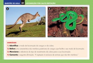 QUESTÃO DE AULA
©
AREAL
EDITORES
–
NCSI
5
–
Ciências
Naturais
–
5.º
ano
–
cód.
89452
EXERCÍCIOS
1. 
Identifica o modo de locomoção do canguru e da cobra.
2. 
Refere uma característica dos membros posteriores do canguru que facilita o seu modo de locomoção.
3. 
Menciona a relevância do tipo de revestimento da cobra para a sua locomoção.
4. 
Comenta a seguinte afirmação: “A reptação é exclusiva de animais que não têm membros.”
A B
LOCOMOÇÃO POR SALTO/REPTAÇÃO
31
NCSI5QA_20160029_P001_065_3P.indd 32 7/4/16 4:53 PM
 