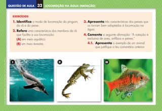 QUESTÃO DE AULA
©
AREAL
EDITORES
–
NCSI
5
–
Ciências
Naturais
–
5.º
ano
–
cód.
89452
EXERCÍCIOS
1. 
Identifica o modo de locomoção do pinguim,
da rã e do peixe.
2. 
Refere uma característica dos membros da rã
que facilita a sua locomoção:
(A) em meio aquático;
(B) em meio terrestre.
3. Apresenta três características dos peixes que
os tornam bem adaptados à locomoção na
água.
4. 
Comenta a seguinte afirmação: “A natação é
exclusiva de aves, anfíbios e peixes.”
4.1. 
Apresenta o exemplo de um animal
que justifique o teu comentário anterior.
I II III
LOCOMOÇÃO NA ÁGUA (NATAÇÃO)
32
NCSI5QA_20160029_P001_065_3P.indd 33 7/4/16 4:53 PM
 