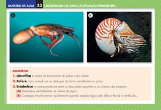 QUESTÃO DE AULA
©
AREAL
EDITORES
–
NCSI
5
–
Ciências
Naturais
–
5.º
ano
–
cód.
89452
EXERCÍCIOS
1. Identifica o modo de locomoção do polvo e do náutilo.
2. Refere outro animal que se desloque de forma semelhante ao polvo.
3. Estabelece a correspondência entre as descrições seguintes e os animais das imagens.
(A) 
Desloca-se verticalmente na coluna de água.
(B) 
Consegue movimentar-se rapidamente quando expulsa água pelo sifão e fecha os tentáculos.
I II
LOCOMOÇÃO NA ÁGUA (FLUTUAÇÃO/PROPULSÃO)
33
NCSI5QA_20160029_P001_065_3P.indd 34 7/4/16 4:53 PM
 