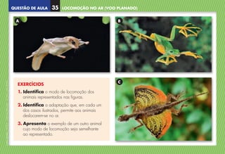 QUESTÃO DE AULA
©
AREAL
EDITORES
–
NCSI
5
–
Ciências
Naturais
–
5.º
ano
–
cód.
89452
EXERCÍCIOS
1. 
Identifica o modo de locomoção dos
animais representados nas figuras.
2. 
Identifica a adaptação que, em cada um
dos casos ilustrados, permite aos animais
deslocarem-se no ar.
3. 
Apresenta o exemplo de um outro animal
cujo modo de locomoção seja semelhante
ao representado.
A B
C
LOCOMOÇÃO NO AR (VOO PLANADO)
35
NCSI5QA_20160029_P001_065_3P.indd 36 7/4/16 4:53 PM
 