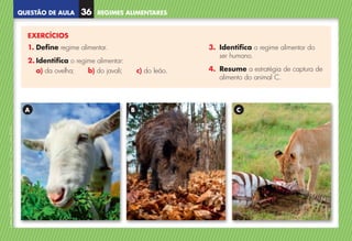 QUESTÃO DE AULA
©
AREAL
EDITORES
–
NCSI
5
–
Ciências
Naturais
–
5.º
ano
–
cód.
89452
EXERCÍCIOS
1. Define regime alimentar.
2. 
Identifica o regime alimentar:
a) da ovelha; b) do javali; c) do leão.
3. 
Identifica o regime alimentar do
ser humano.
4. 
Resume a estratégia de captura de
alimento do animal C.
A B C
REGIMES ALIMENTARES
36
NCSI5QA_20160029_P001_065_3P.indd 37 7/4/16 4:53 PM
 