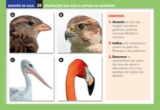 QUESTÃO DE AULA
©
AREAL
EDITORES
–
NCSI
5
–
Ciências
Naturais
–
5.º
ano
–
cód.
89452
EXERCÍCIOS
1. 
Associa as aves das
imagens aos termos
granívora, piscívora,
omnívora filtradora e
carnívora.
2. Indica uma característica
comum às patas dos
flamingos e dos pelicanos.
3. Descreve as
características das patas
das aves de rapina e
relaciona-as com a sua
estratégia de captura de
alimento.
A
C
B
D
ADAPTAÇÕES DAS AVES À CAPTURA DE ALIMENTOS
38
NCSI5QA_20160029_P001_065_3P.indd 39 7/4/16 4:53 PM
 
