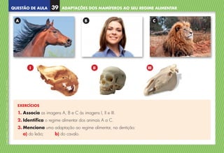 QUESTÃO DE AULA
©
AREAL
EDITORES
–
NCSI
5
–
Ciências
Naturais
–
5.º
ano
–
cód.
89452
EXERCÍCIOS
1. Associa as imagens A, B e C às imagens I, II e III.
2. Identifica o regime alimentar dos animais A a C.
3. Menciona uma adaptação ao regime alimentar, na dentição:
a) do leão; b) do cavalo.
A
I
B
II
C
III
ADAPTAÇÕES DOS MAMÍFEROS AO SEU REGIME ALIMENTAR
39
NCSI5QA_20160029_P001_065_3P.indd 40 7/4/16 4:53 PM
 