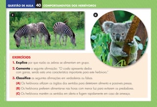 QUESTÃO DE AULA
©
AREAL
EDITORES
–
NCSI
5
–
Ciências
Naturais
–
5.º
ano
–
cód.
89452
EXERCÍCIOS
1. Explica por que razão as zebras se alimentam em grupo.
2. Comenta a seguinte afirmação: “O coala apresenta dedos
com garras, sendo esta uma característica importante para este herbívoro.”
3. Classifica as seguintes afirmações em verdadeiras ou falsas.
(A) Os herbívoros utilizam os órgãos dos sentidos para detetarem alimento e possíveis presas.
(B) Os herbívoros preferem alimentar-se nas horas com menor luz para evitarem os predadores.
(C) Os herbívoros mantêm os sentidos em alerta e fogem rapidamente em caso de ameaça.
II
I
COMPORTAMENTOS DOS HERBÍVOROS
40
NCSI5QA_20160029_P001_065_3P.indd 41 7/4/16 4:53 PM
 