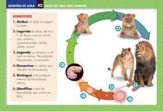 QUESTÃO DE AULA
©
AREAL
EDITORES
–
NCSI
5
–
Ciências
Naturais
–
5.º
ano
–
cód.
89452
CICLO DE VIDA NOS ANIMAIS
42
EXERCÍCIOS
1. 
Atribui um título à imagem
ao lado.
2. Legenda as letras, de A a
F, da figura com os termos:
ovo, embrião,
espermatozoide, oócito,
adulto, juvenil.
3. Legenda os números I a III
com os termos: Fecundação,
Nascimento, Crescimento.
4. 
Denomina as células que
intervêm na fecundação.
5. Distingue a fecundação
externa da fecundação
interna.
6. Identifica o tipo de
fecundação que ocorre no
leão.
II
I
ııı
B
C
D
E
F
A
NCSI5QA_20160029_P001_065_3P.indd 43 7/4/16 4:53 PM
 