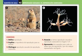 QUESTÃO DE AULA
©
AREAL
EDITORES
–
NCSI
5
–
Ciências
Naturais
–
5.º
ano
–
cód.
89452
REPRODUÇÃO SEXUADA VS. REPRODUÇÃO ASSEXUADA
43
EXERCÍCIOS
1. Define reprodução.
2. 
Explica a importância da reprodução para os
animais.
3. 
Distingue reprodução sexuada de reprodução
assexuada.
4. 
Associa os termos reprodução sexuada e
reprodução assexuada às imagens I e II.
5. 
Apresenta dois exemplos para cada um
destes tipos de reprodução, que não estejam
representados nas figuras.
I II
NCSI5QA_20160029_P001_065_3P.indd 44 7/4/16 4:53 PM
 