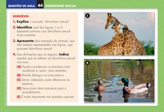 QUESTÃO DE AULA
©
AREAL
EDITORES
–
NCSI
5
–
Ciências
Naturais
–
5.º
ano
–
cód.
89452
DIMORFISMO SEXUAL
44
EXERCÍCIOS
1. Explica o conceito “dimorfismo sexual”.
2. 
Identifica qual das figuras, I ou II,
apresenta animais com dimorfismo sexual
muito evidente.
3. 
Apresenta dois exemplos de animais, que
não estejam representados nas figuras, que
possuem dimorfismo sexual.
4. 
Das afirmações que se seguem, indica
aquelas que se referem ao dimorfismo sexual
nas aves.
(A) 
Ajuda a evidenciar os parceiros mais
saudáveis e, assim, mais atraentes.
(B) 
Permite distinguir as crias entre si.
(C) 
Serve, sobretudo, para diferenciar as
espécies.
(D) 
Serve para atrair parceiros para o
acasalamento.
(E) 
É muito importante nas paradas nupciais.
I
II
NCSI5QA_20160029_P001_065_3P.indd 45 7/4/16 4:53 PM
 