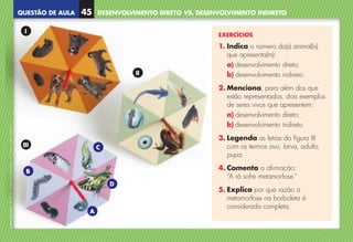 QUESTÃO DE AULA
©
AREAL
EDITORES
–
NCSI
5
–
Ciências
Naturais
–
5.º
ano
–
cód.
89452
DESENVOLVIMENTO DIRETO VS. DESENVOLVIMENTO INDIRETO
45
I
III
II
EXERCÍCIOS
1. 
Indica o número do(s) animal(is)
que apresenta(m):
a) desenvolvimento direto;
b) desenvolvimento indireto.
2. Menciona, para além dos que
estão representados, dois exemplos
de seres vivos que apresentem:
a) desenvolvimento direto;
b) desenvolvimento indireto.
3. 
Legenda as letras da figura III
com os termos ovo, larva, adulto,
pupa.
4. 
Comenta a afirmação:
“A rã sofre metamorfose.”
5. 
Explica por que razão a
metamorfose na borboleta é
considerada completa.
C
D
A
B
NCSI5QA_20160029_P001_065_3P.indd 46 7/4/16 4:53 PM
 