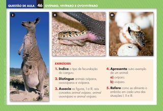 QUESTÃO DE AULA
©
AREAL
EDITORES
–
NCSI
5
–
Ciências
Naturais
–
5.º
ano
–
cód.
89452
OVÍPARO, VIVÍPARO E OVOVIVÍPARO
46
EXERCÍCIOS
1. Indica o tipo de fecundação
do canguru.
2. Distingue animais ovíparos,
ovovivíparos e vivíparos.
3. 
Associa as figuras, I a III, aos
conceitos animal ovíparo, animal
ovovivíparo e animal vivíparo.
4. 
Apresenta outro exemplo
de um animal:
a) ovíparo;
b) vivíparo.
5. 
Refere como se alimenta o
embrião em cada uma das
situações I, II e III.
I II III
NCSI5QA_20160029_P001_065_3P.indd 47 7/4/16 4:53 PM
 
