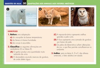 QUESTÃO DE AULA
©
AREAL
EDITORES
–
NCSI
5
–
Ciências
Naturais
–
5.º
ano
–
cód.
89452
ADAPTAÇÕES DOS ANIMAIS AOS FATORES ABIÓTICOS
50
EXERCÍCIOS
1. Refere uma adaptação:
a) do urso-polar às baixas temperaturas;
b) do feneco à baixa humidade;
b) da coruja à escuridão.
2. Classifica as seguintes afirmações em
verdadeiras (V) ou falsas (F).
(A) 
O gerbo produz uma quantidade muito
reduzida de urina.
(B) 
O dromedário acumula reservas de gordura,
de onde obtém água.
(C) 
A raposa-do-ártico apresenta orelhas
grandes e pelo curto.
(D) 
A foca apresenta uma camada de gordura
por baixo da pele.
(E) 
Os pelos da lebre-ártica sofrem alterações
de cor, o que lhes permite camuflarem-se no
ambiente.
3. 
Indica, para as letras A, D e E, das alíneas
anteriores, o fator abiótico em estudo.
I II III
NCSI5QA_20160029_P001_065_3P.indd 51 7/4/16 4:53 PM
 