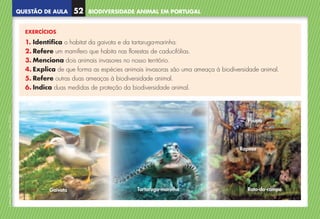 QUESTÃO DE AULA
©
AREAL
EDITORES
–
NCSI
5
–
Ciências
Naturais
–
5.º
ano
–
cód.
89452
BIODIVERSIDADE ANIMAL EM PORTUGAL
52
EXERCÍCIOS
1. 
Identifica o habitat da gaivota e da tartaruga-marinha.
2. 
Refere um mamífero que habita nas florestas de caducifólias.
3. 
Menciona dois animais invasores no nosso território.
4. 
Explica de que forma as espécies animais invasoras são uma ameaça à biodiversidade animal.
5. 
Refere outras duas ameaças à biodiversidade animal.
6. 
Indica duas medidas de proteção da biodiversidade animal.
Gaivota Tartaruga-marinha
Poupa
Raposa
Rato-do-campo
NCSI5QA_20160029_P001_065_3P.indd 53 7/4/16 4:53 PM
 