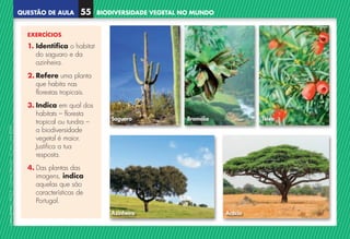 QUESTÃO DE AULA
©
AREAL
EDITORES
–
NCSI
5
–
Ciências
Naturais
–
5.º
ano
–
cód.
89452
BIODIVERSIDADE VEGETAL NO MUNDO
55
EXERCÍCIOS
1. 
Identifica o habitat
do saguaro e da
azinheira.
2. 
Refere uma planta
que habita nas
florestas tropicais.
3. 
Indica em qual dos
habitats – floresta
tropical ou tundra –
a biodiversidade
vegetal é maior.
Justifica a tua
resposta.
4. 
Das plantas das
imagens, indica
aquelas que são
características de
Portugal.
Saguaro Bromélia Teixo
Acácia
Azinheira
NCSI5QA_20160029_P001_065_3P.indd 56 7/4/16 4:54 PM
 