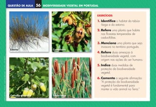 QUESTÃO DE AULA
©
AREAL
EDITORES
–
NCSI
5
–
Ciências
Naturais
–
5.º
ano
–
cód.
89452
BIODIVERSIDADE VEGETAL EM PORTUGAL
56
EXERCÍCIOS
1. Identifica o habitat da tabúa-
-larga e do estorno.
2. Refere uma planta que habita
nas florestas temperadas de
caducifólias.
3. Menciona uma planta que seja
invasora no território português.
4. Refere duas ameaças à
biodiversidade vegetal, com
origem nas ações do ser humano.
5. Indica duas medidas de
proteção da biodiversidade
vegetal.
6. Comenta a seguinte afirmação:
“A proteção da biodiversidade
vegetal é fundamental para
manter a vida animal na Terra.”
Estorno Castanheiro
Carvalho-alvarinho Tabúa-larga
NCSI5QA_20160029_P001_065_3P.indd 57 7/4/16 4:54 PM
 