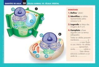 QUESTÃO DE AULA
©
AREAL
EDITORES
–
NCSI
5
–
Ciências
Naturais
–
5.º
ano
–
cód.
89452
CÉLULA ANIMAL VS. CÉLULA VEGETAL
58
A
E
C
D
B
A
C
E
I
II
EXERCÍCIOS
1. Define “célula”.
2. 
Identifica as células
representadas pelos
números I e II.
3. 
Legenda as letras das
imagens de A a E.
4. 
Completa a frase
seguinte com os termos
adequados.
	
Todas as células possuem
membrana e
, o meio fluido
no seu interior. As células
apresentam,
ainda, celular e
. Estas últimas
estruturas conferem a cor
verde às .
NCSI5QA_20160029_P001_065_3P.indd 59 7/4/16 4:54 PM
 