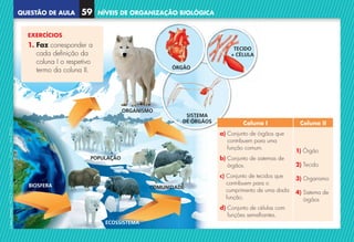 QUESTÃO DE AULA
©
AREAL
EDITORES
–
NCSI
5
–
Ciências
Naturais
–
5.º
ano
–
cód.
89452
NÍVEIS DE ORGANIZAÇÃO BIOLÓGICA
59
EXERCÍCIOS
1. 
Faz corresponder a
cada definição da
coluna I o respetivo
termo da coluna II.
Coluna I Coluna II
a) 
Conjunto de órgãos que
contribuem para uma
função comum.
b) 
Conjunto de sistemas de
órgãos.
c) 
Conjunto de tecidos que
contribuem para o
cumprimento de uma dada
função.
d) 
Conjunto de células com
funções semelhantes.
1) Órgão
2) Tecido
3) Organismo
4) 
Sistema de
órgãos
NCSI5QA_20160029_P001_065_3P.indd 60 7/4/16 4:56 PM
 