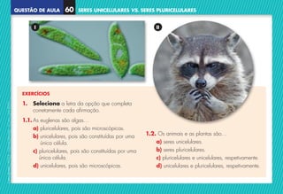 QUESTÃO DE AULA
©
AREAL
EDITORES
–
NCSI
5
–
Ciências
Naturais
–
5.º
ano
–
cód.
89452
SERES UNICELULARES VS. SERES PLURICELULARES
60
EXERCÍCIOS
1. 
Seleciona a letra da opção que completa
corretamente cada afirmação.
1.1. As euglenas são algas…
a) pluricelulares, pois são microscópicas.
b) 
unicelulares, pois são constituídas por uma
única célula.
c) 
pluricelulares, pois são constituídas por uma
única célula.
d) unicelulares, pois são microscópicas.
1.2. Os animais e as plantas são…
a) seres unicelulares.
b) seres pluricelulares.
c) pluricelulares e unicelulares, respetivamente.
d) unicelulares e pluricelulares, respetivamente.
II
I
NCSI5QA_20160029_P001_065_3P.indd 61 7/4/16 4:56 PM
 