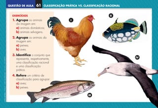 QUESTÃO DE AULA
©
AREAL
EDITORES
–
NCSI
5
–
Ciências
Naturais
–
5.º
ano
–
cód.
89452
61 CLASSIFICAÇÃO PRÁTICA VS. CLASSIFICAÇÃO RACIONAL
IV
III
EXERCÍCIOS
1. Agrupa os animais
da imagem em:
a) 
animais domésticos;
b) animais selvagens.
2. Agrupa os animais da
imagem em:
a) peixes;
b) aves.
3. Identifica o conjunto que
representa, respetivamente,
uma classificação racional
e uma classificação
prática.
4. Refere um critério de
classificação para agrupar:
a) aves;
b) peixes.
I
II
NCSI5QA_20160029_P001_065_3P.indd 62 7/4/16 4:56 PM
 