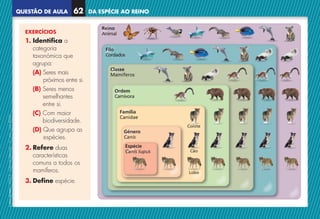 QUESTÃO DE AULA
©
AREAL
EDITORES
–
NCSI
5
–
Ciências
Naturais
–
5.º
ano
–
cód.
89452
DA ESPÉCIE AO REINO
62
EXERCÍCIOS
1. Identifica a
categoria
taxonómica que
agrupa:
(A) 
Seres mais
próximos entre si.
(B) 
Seres menos
semelhantes
entre si.
(C) 
Com maior
biodiversidade.
(D) 
Que agrupa as
espécies.
2. Refere duas
características
comuns a todos os
mamíferos.
3. Define espécie.
Coiote
Cão
Lobo
Espécie
Canis lupus
Género
Canis
Família
Canidae
Ordem
Carnivora
Classe
Mamíferos
Filo
Cordados
Reino
Animal
NCSI5QA_20160029_P001_065_3P.indd 63 7/4/16 4:56 PM
 