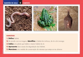 QUESTÃO DE AULA
©
AREAL
EDITORES
–
NCSI
5
–
Ciências
Naturais
–
5.º
ano
–
cód.
89452
HABITATS
6
EXERCÍCIOS
1. Define habitat.
2. De acordo com as imagens, identifica o habitat da minhoca, da rã e do morcego.
3. Indica uma planta que habite o mesmo habitat da rã.
4. Apresenta duas causas da degradação dos habitats.
5. Menciona uma medida de conservação da natureza que esteja ao teu alcance.
NCSI5QA_20160029_P001_065_3P.indd 7 7/4/16 4:52 PM
 