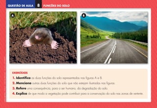 QUESTÃO DE AULA
©
AREAL
EDITORES
–
NCSI
5
–
Ciências
Naturais
–
5.º
ano
–
cód.
89452
FUNÇÕES DO SOLO
8
EXERCÍCIOS
1. Identifica as duas funções do solo representadas nas figuras A e B.
2. Menciona outras duas funções do solo que não estejam ilustradas nas figuras.
3. Refere uma consequência, para o ser humano, da degradação do solo.
4. Explica de que modo a vegetação pode contribuir para a conservação do solo nas zonas de vertente.
A B
NCSI5QA_20160029_P001_065_3P.indd 9 7/4/16 4:52 PM
 