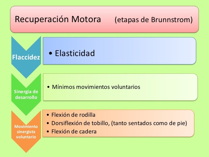 Terapia de Espejo: Rehabilitación