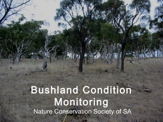 Bushland Condition
Monitoring
Nature Conservation Society of SA
 