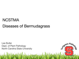 NCSTMA
Diseases of Bermudagrass



Lee Butler
Dept. of Plant Pathology
North Carolina State University
 