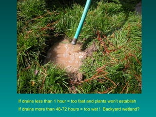 If drains less than 1 hour = too fast and plants won’t establish
If drains more than 48-72 hours = too wet ! Backyard wetl...