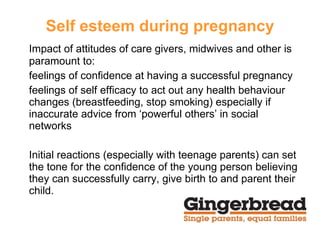 Self esteem during pregnancy Impact of attitudes of care givers, midwives and other is paramount to:  feelings of confidence at having a successful pregnancy feelings of self efficacy to act out any health behaviour changes (breastfeeding, stop smoking) especially if inaccurate advice from ‘powerful others’ in social networks Initial reactions (especially with teenage parents) can set the tone for the confidence of the young person believing they can successfully carry, give birth to and parent their child. 