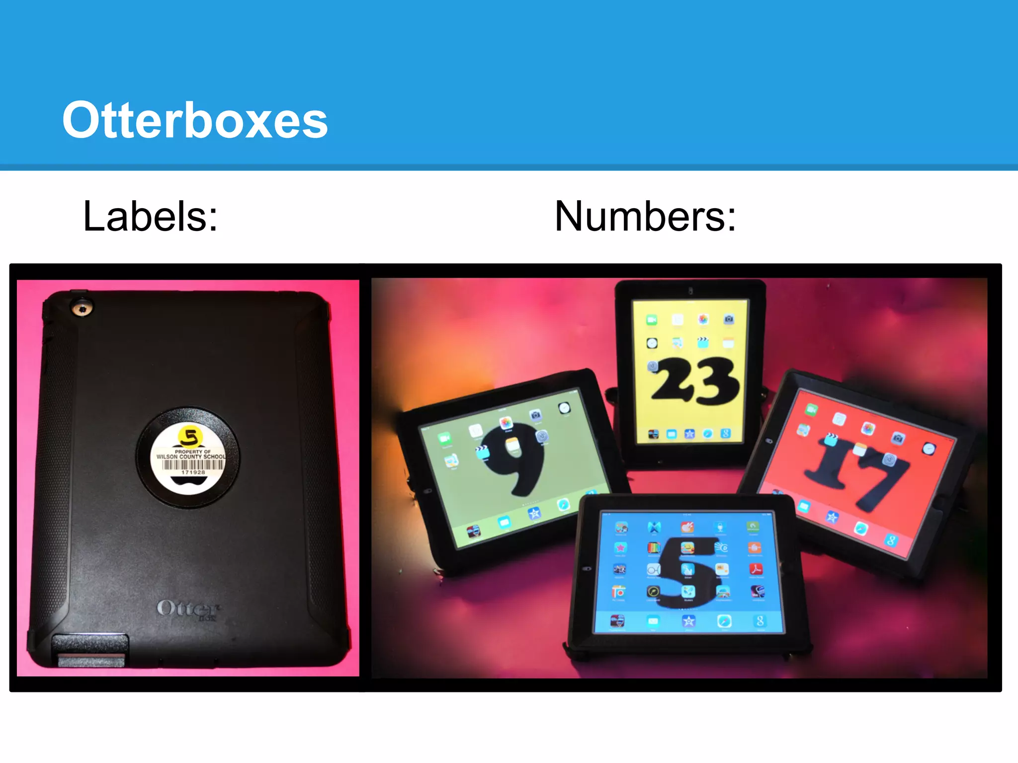 Otterboxes
Labels: Numbers:
 