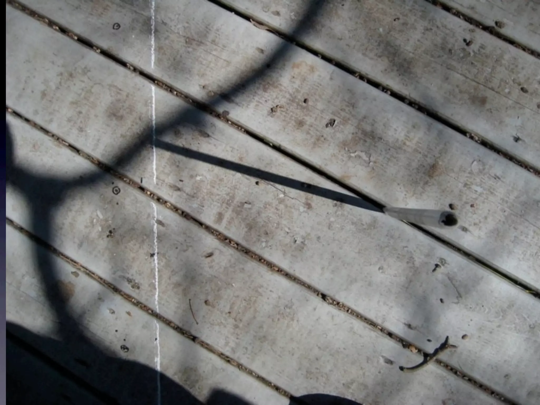 Web 2.0: A tipping point for bridging the digital divide in math achievement?