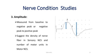 Nerve Condition Studies
3. Amplitude:
Measured from baseline to
negative peak or negative
peak to positive peak
Suggest the density of nerve
fiber in Sensory NCS and
number of motor units in
Motor NCS.
EMG & NCV 27
 