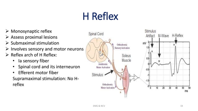 NCV and EMG.pptx | Brain and Nervous System Disorders | Diseases and ...
