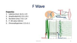 F Wave
EMG & NCV 36
Properties
1. Latency (ms): 16.3 ± 1.9
2. Amplitude(mV): 0.2 ± 0.1
3. Duration (ms): 7.6 ± 1.4
4. F –M ratio: 0.8-0.2
5. Chronodispersion: 2.5 ±1.1
 