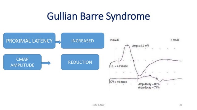 NCV and EMG.pptx | Brain and Nervous System Disorders | Diseases and ...