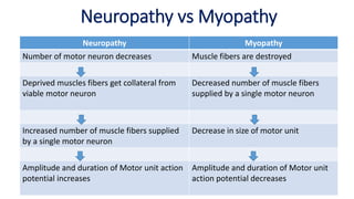 Neuropathy vs Myopathy
EMG & NCV 48
Neuropathy Myopathy
Number of motor neuron decreases Muscle fibers are destroyed
Deprived muscles fibers get collateral from
viable motor neuron
Decreased number of muscle fibers
supplied by a single motor neuron
Increased number of muscle fibers supplied
by a single motor neuron
Decrease in size of motor unit
Amplitude and duration of Motor unit action
potential increases
Amplitude and duration of Motor unit
action potential decreases
 
