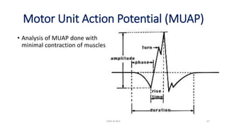 Motor Unit Action Potential (MUAP)
• Analysis of MUAP done with
minimal contraction of muscles
EMG & NCV 67
 